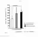 Fig. 03 - Fermented tea beverage and tea beverage