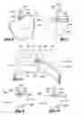 Fig. 04 - Plant and stem design and method of making