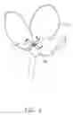 Fig. 07 - ARTIFICIAL FLOWER