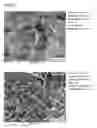 Fig. 07 - COPPER ALLOY COMPOSITE AND METHOD FOR MANUFACTURING SAME
