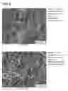 Fig. 08 - COPPER ALLOY COMPOSITE AND METHOD FOR MANUFACTURING SAME