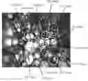 Fig. 01 - Composition for rigid polyurethane foam and rigid polyurethane foam produced using the same