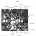 Fig. 02 - Composition for rigid polyurethane foam and rigid polyurethane foam produced using the same