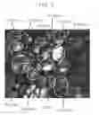 Fig. 03 - Composition for rigid polyurethane foam and rigid polyurethane foam produced using the same