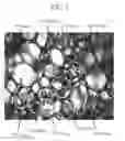 Fig. 05 - Composition for rigid polyurethane foam and rigid polyurethane foam produced using the same