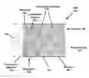 Fig. 01 - VOLTAGE SWITCHABLE DIELECTRIC MATERIAL INCORPORATING P AND N TYPE MATERIAL