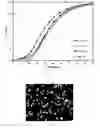 Fig. 02 - Reduction-oxidation-tolerant electrodes for solid oxide fuel cells