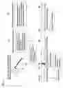 Fig. 02 - Continuous Assay Method for Measuring Receptor- and Ion Channel-Mediated Calcium Response and Subsequent Gene Expression