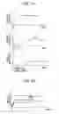 Fig. 07 - Method of detecting interaction between nucleic acid and protein, and apparatus for the same