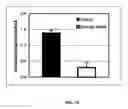 Fig. 08 - Production of reprogrammed cells with restored potential