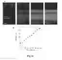 Fig. 47 - Tunable elastomeric nanochannels for nanofluidic manipulation