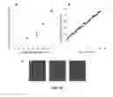 Fig. 48 - Tunable elastomeric nanochannels for nanofluidic manipulation