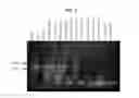 Fig. 04 - Proteinase K inhibitors, methods and compositions therefor