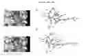 Fig. 05 - Proteinase K inhibitors, methods and compositions therefor