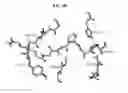Fig. 11 - Proteinase K inhibitors, methods and compositions therefor