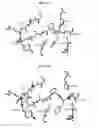 Fig. 12 - Proteinase K inhibitors, methods and compositions therefor