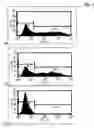 Fig. 08 - Promoter