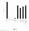 Fig. 02 - Methods for increasing hydrolysis of cellulosic material in the presence of cellobiose dehydrogenase