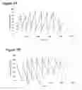 Fig. 08 - Pelletization process to control filamentous fungi morphology for enhanced reactor rheology bioproduct formation