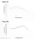 Fig. 09 - Pelletization process to control filamentous fungi morphology for enhanced reactor rheology bioproduct formation