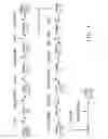 Fig. 09 - Reducing byproduction of malonates by yeast in a fermentation process