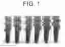 Fig. 02 - Emulsion compositions