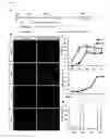 Fig. 02 - Method of generating myelinating oligodendrocytes