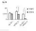 Fig. 10 - Method of generating myelinating oligodendrocytes