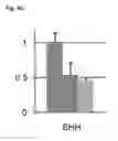 Fig. 12 - Method of generating myelinating oligodendrocytes