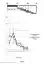 Fig. 04 - Benzimidazole compounds differentiate a mammalian stem cell into mesodermal or cardiomyocyte cells