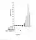 Fig. 06 - Benzimidazole compounds differentiate a mammalian stem cell into mesodermal or cardiomyocyte cells