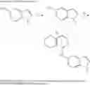 Fig. 111 - Benzimidazole compounds differentiate a mammalian stem cell into mesodermal or cardiomyocyte cells