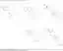 Fig. 112 - Benzimidazole compounds differentiate a mammalian stem cell into mesodermal or cardiomyocyte cells