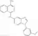 Fig. 141 - Benzimidazole compounds differentiate a mammalian stem cell into mesodermal or cardiomyocyte cells