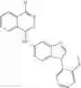 Fig. 174 - Benzimidazole compounds differentiate a mammalian stem cell into mesodermal or cardiomyocyte cells