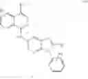 Fig. 197 - Benzimidazole compounds differentiate a mammalian stem cell into mesodermal or cardiomyocyte cells