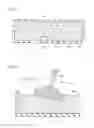 Fig. 09 - Solid-phase sheet growing substrate and method of manufacturing solid-phase sheet