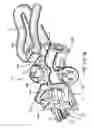 Fig. 09 - Extension cord lock and in line tap