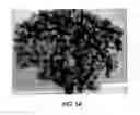 Fig. 02 - Asphalt-mineral compositions