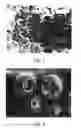 Fig. 02 - Rigid or flexible, macro-porous abrasive article
