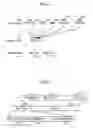 Fig. 02 - APPARATUS AND METHOD FOR PROVIDING MBMS IN WIRELESS COMMUNICATION SYSTEM