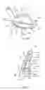 Fig. 08 - Golf club head