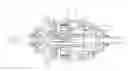 Fig. 01 - Fixed gear internal gear hub