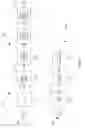 Fig. 08 - Blood Processing Apparatus with Air Bubble Detector