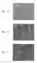 Fig. 02 - Semiconductor processing apparatus which is formed from yttrium oxide and zirconium oxide to produce a solid solution ceramic apparatus