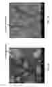 Fig. 03 - Yb:YOceramic powders
