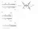 Fig. 01 - Method of detecting target substance