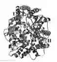 Fig. 01 - Crystal structure of an angiotensin-converting enzyme (ACE) and uses thereof