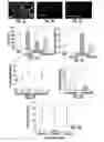 Fig. 03 - Inkjet gene printing
