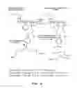 Fig. 05 - Enhanced transport using membrane disruptive agents